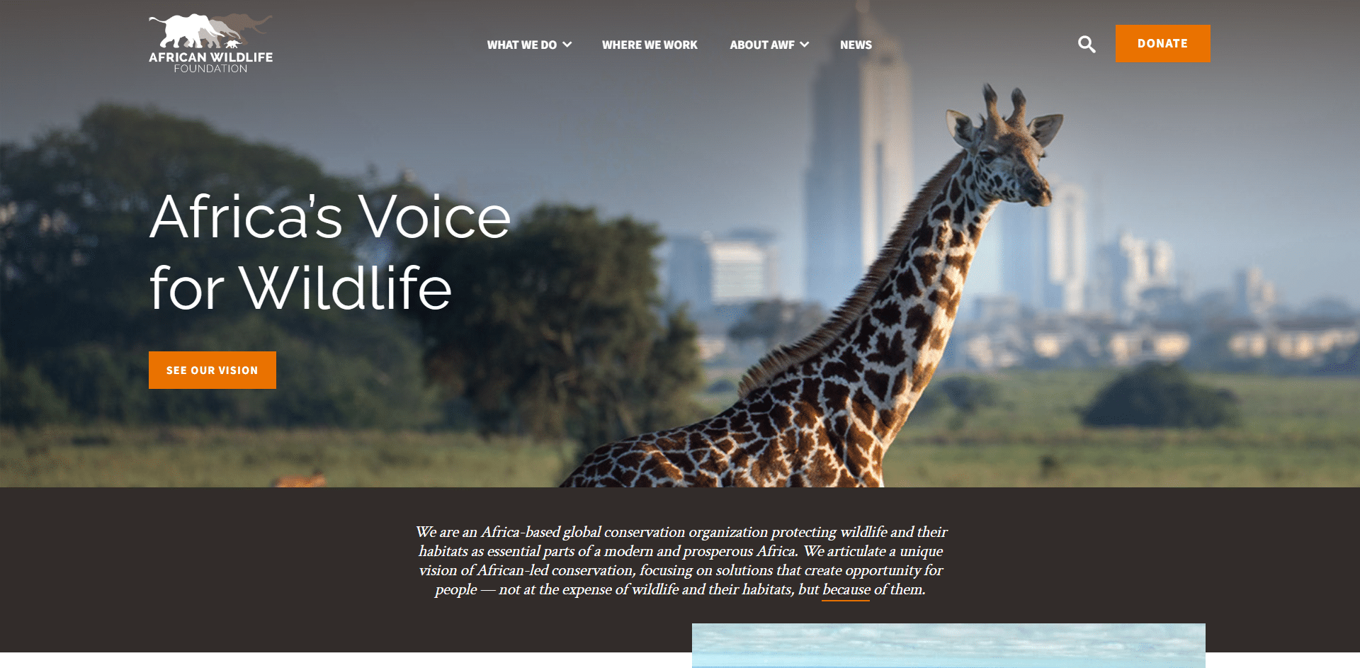 African Wildlife Foundation - Wildlife Organizations