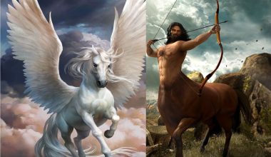 Types of Mythical Horses