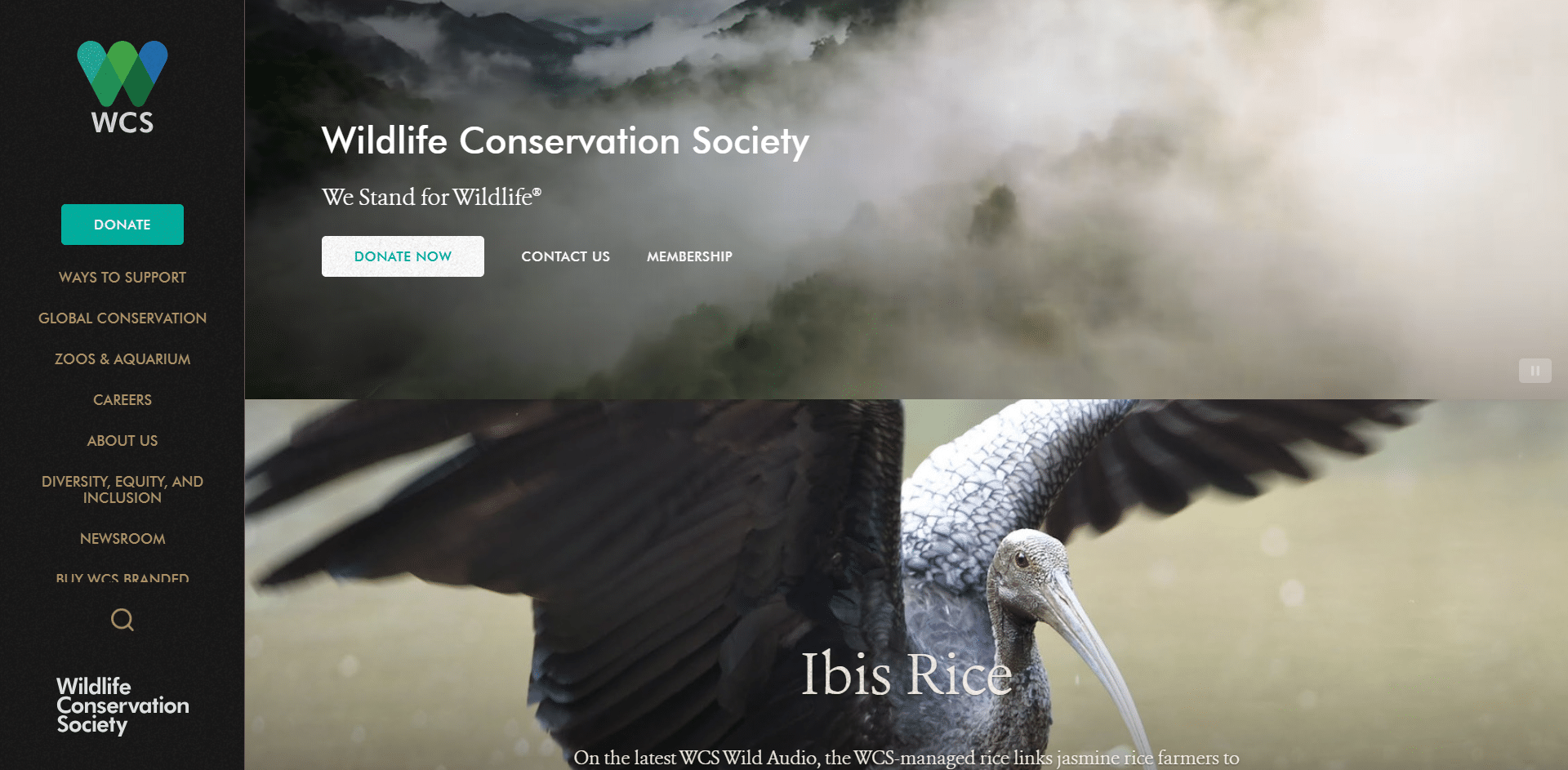 Wildlife Conservation Society - Wildlife Organizations