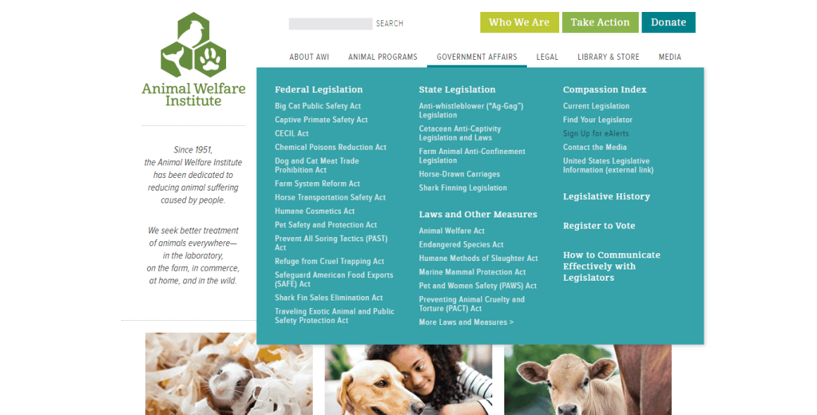 Top 15 Wildlife Organizations in the World