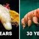 Animals That Can Survive Without Food