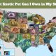 United States Laws on Exotic Pets