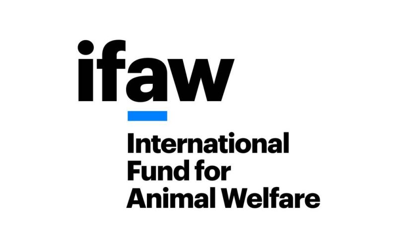 IFAW (International Fund for Animal Welfare)