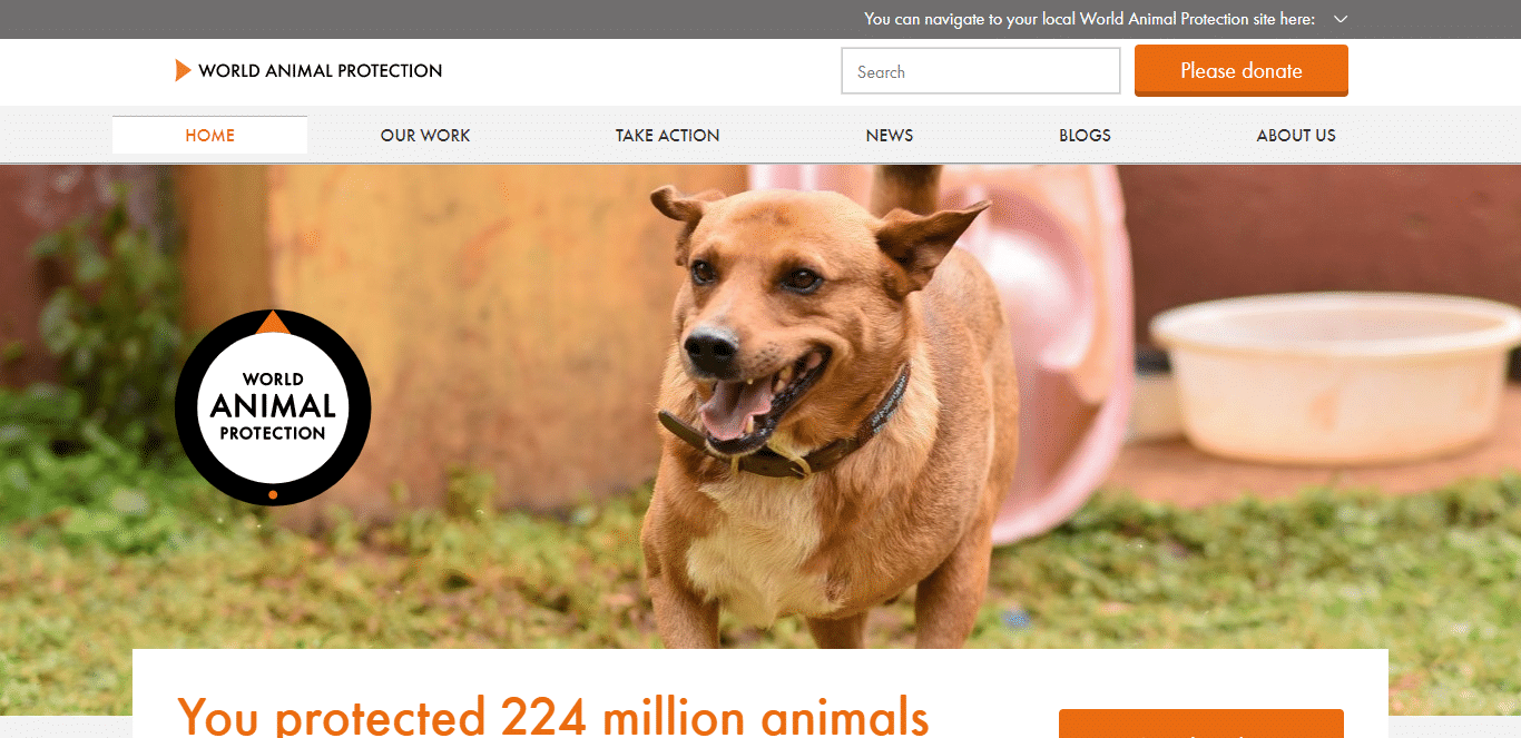 World Animal Protection