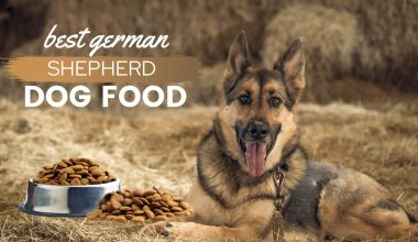 Dog Foods for German Shepherds