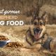 Dog Foods for German Shepherds