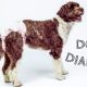 How to Make Dog Diapers