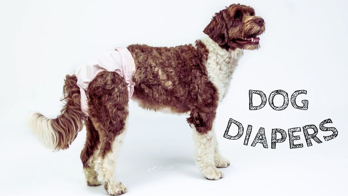 how-to-make-dog-diapers