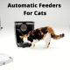 Best Automatic Cat Feeders