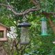 Different Types of Bird Feeders