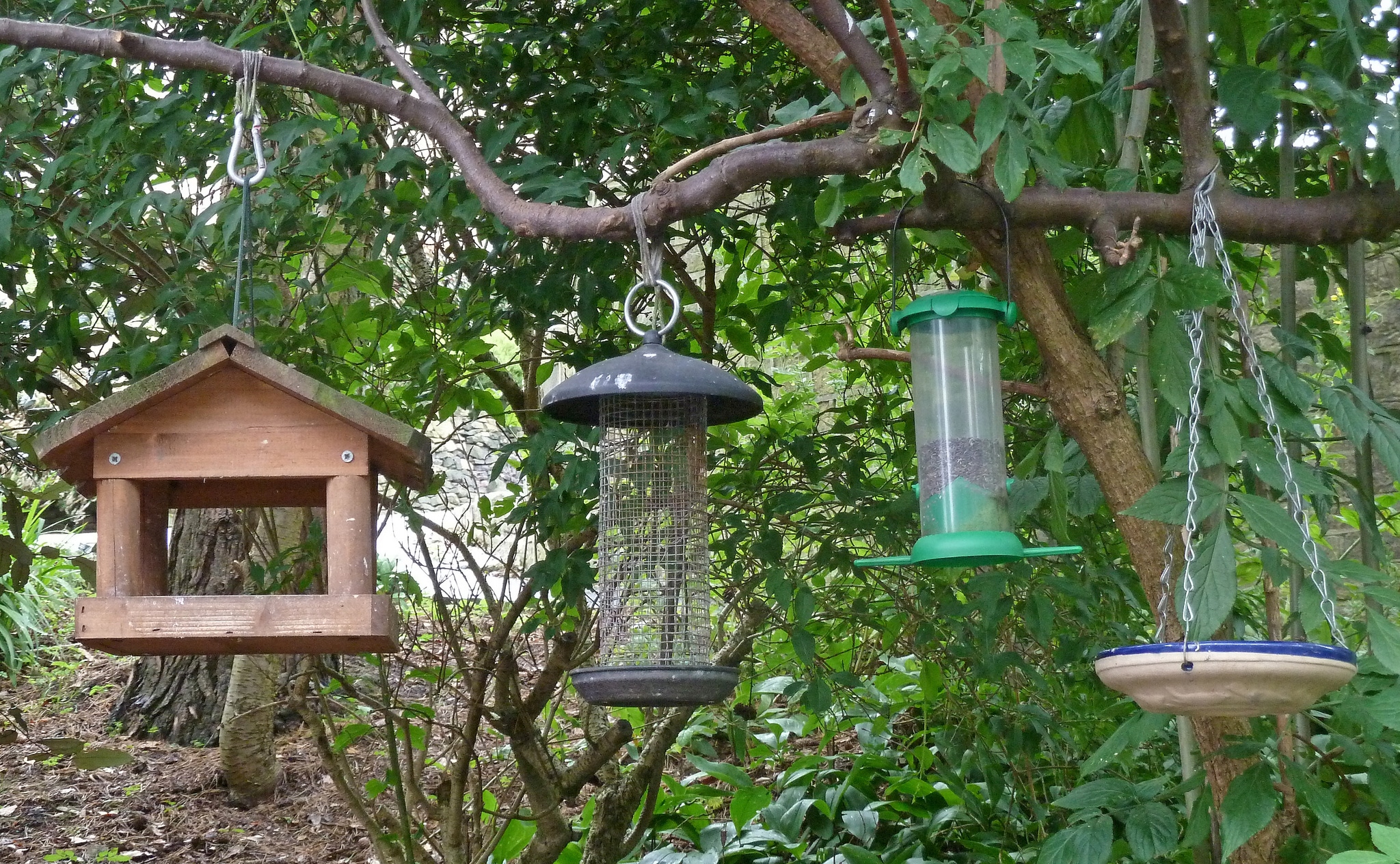 12-different-types-of-bird-feeders