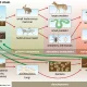Difference Between a Food Chain and a Food Web