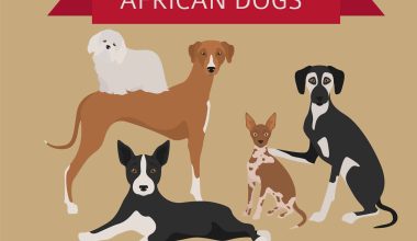 African Dog Breeds