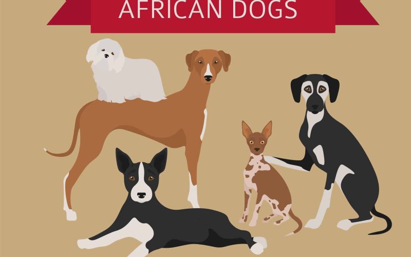 African Dog Breeds