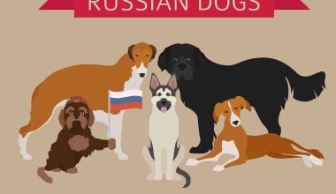 Russian Dog Breeds