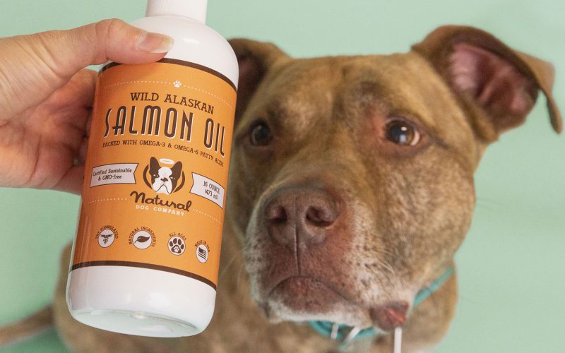 8 Best Salmon Oil for Dogs Which One is Right for Your Pup?