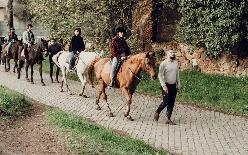 Italian Horse Breeds