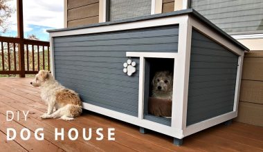 How to Insulate a Dog House