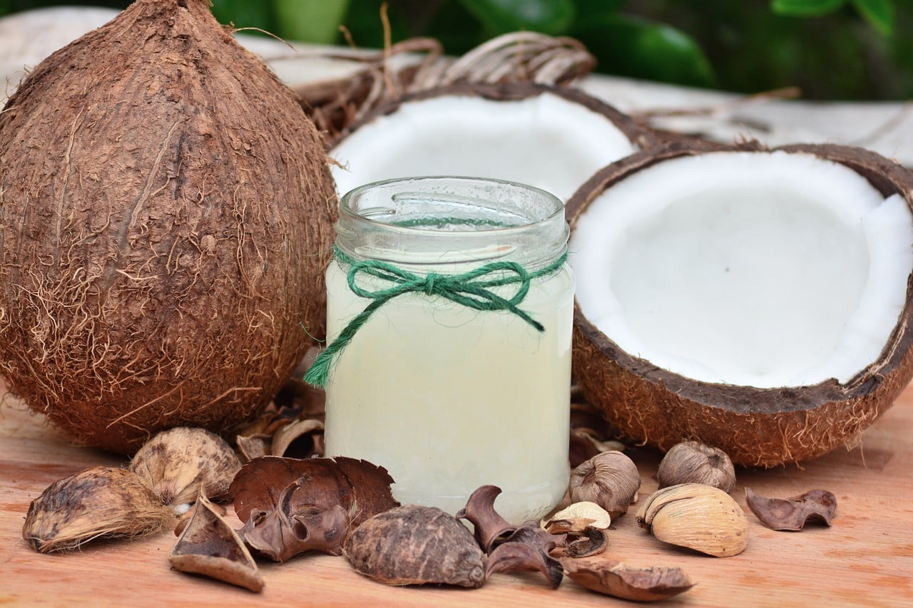 can dogs eat fresh coconut