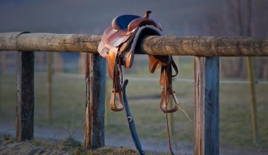 different types of western saddles
