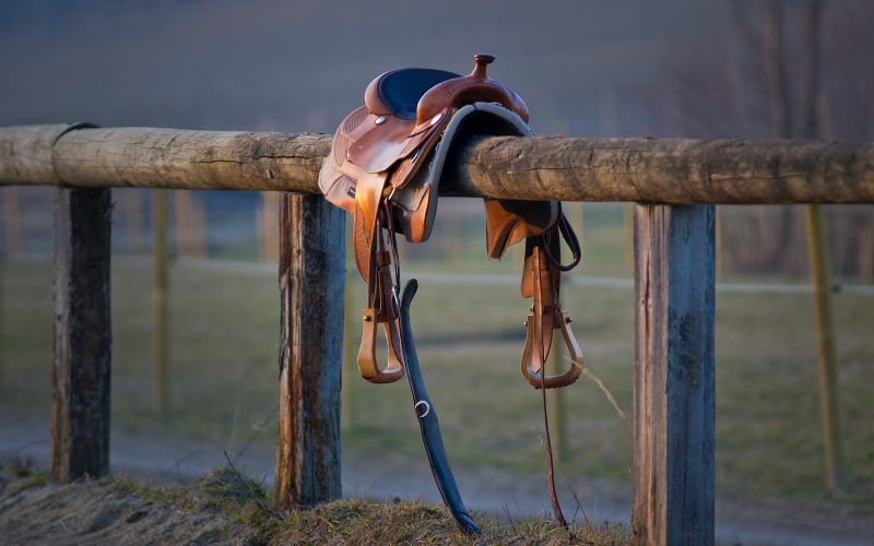 different types of western saddles