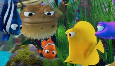 Finding Nemo Fish Species