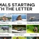 Animals That Start With W