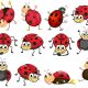 Different Types of Ladybugs With Spots