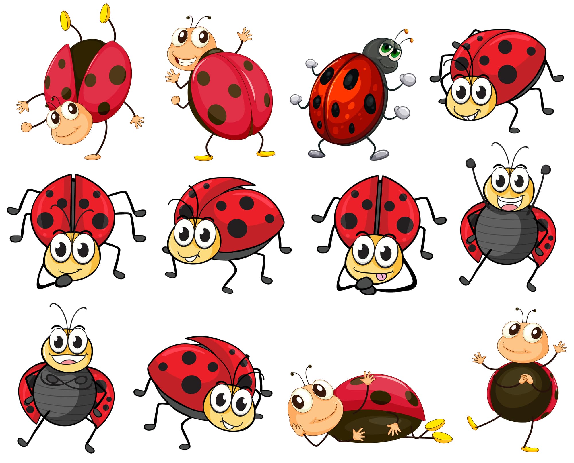 ladybird clipart no spots on ladybugs