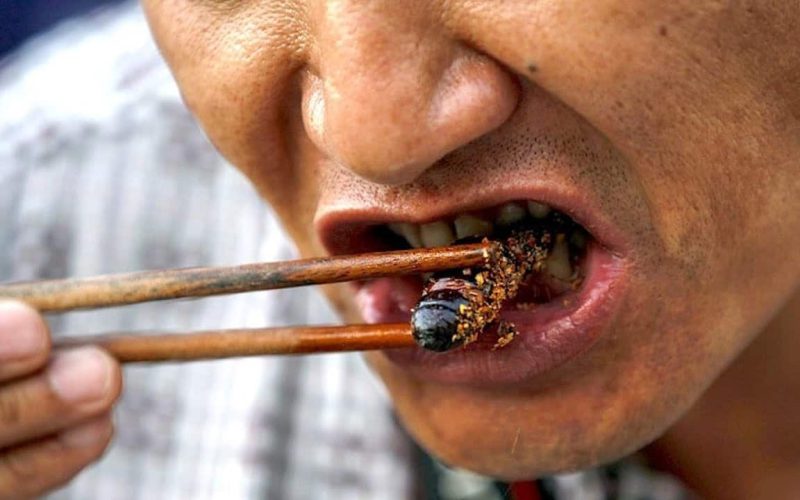 Types of Insects that People Eat