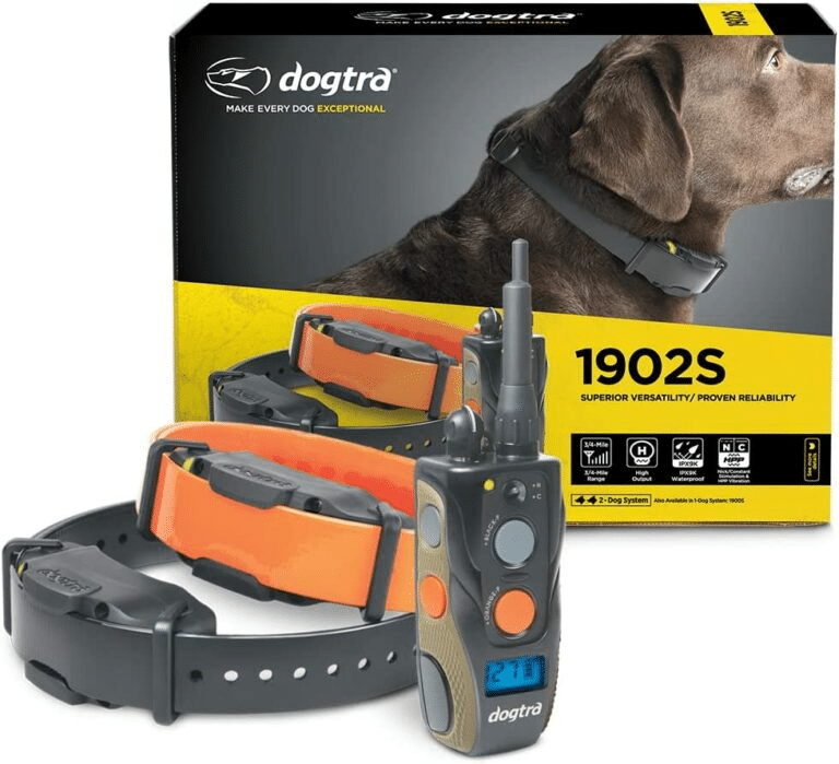 Why Shock Collars May Be Necessary for Certain Breeds and Behaviors