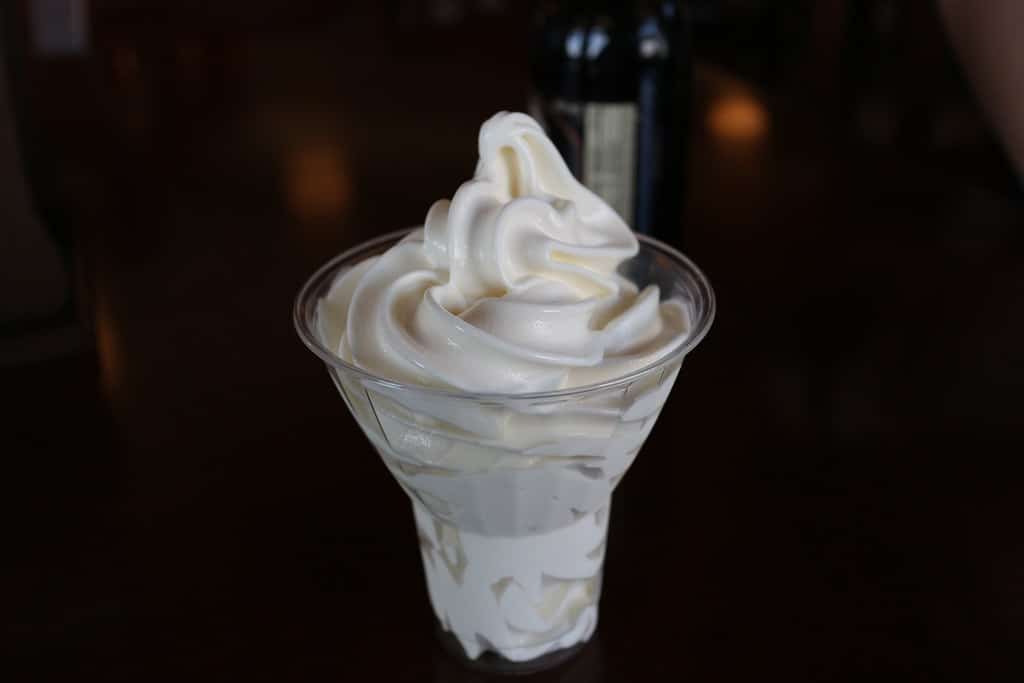 Can Cats Eat Ice Cream?