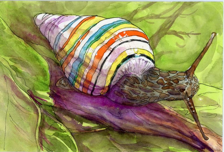 21 Different Types of Snails (With Pictures)