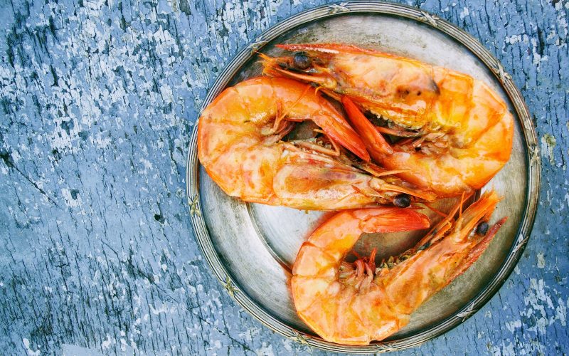 Animals That Eat Shrimp
