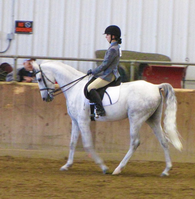 12 Different Types of Horse Riding Sports (With Pictures)