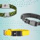 Best Smart Dog Collars