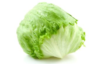 Can Chickens Eat Iceberg Lettuce