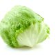 Can Chickens Eat Iceberg Lettuce