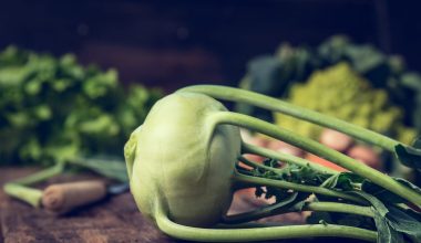 Can Chickens Eat Kohlrabi