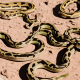 Different Types of Snakes in Nevada