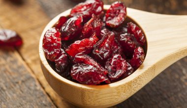 Can Chickens Eat Dried Cranberries