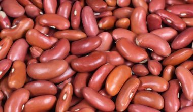 Can Chickens Eat Kidney Beans