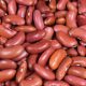 Can Chickens Eat Kidney Beans