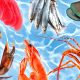 Different Types of Seafood