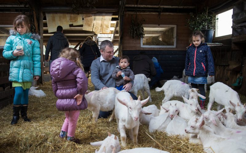 Petting Zoos in the Netherlands