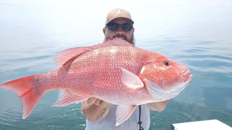types of fish in jacksonville fl