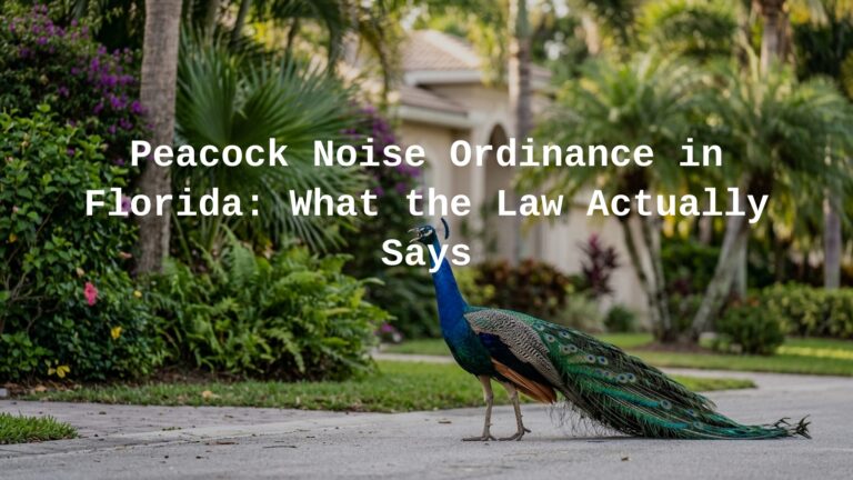 Peacock noise ordinance in Florida