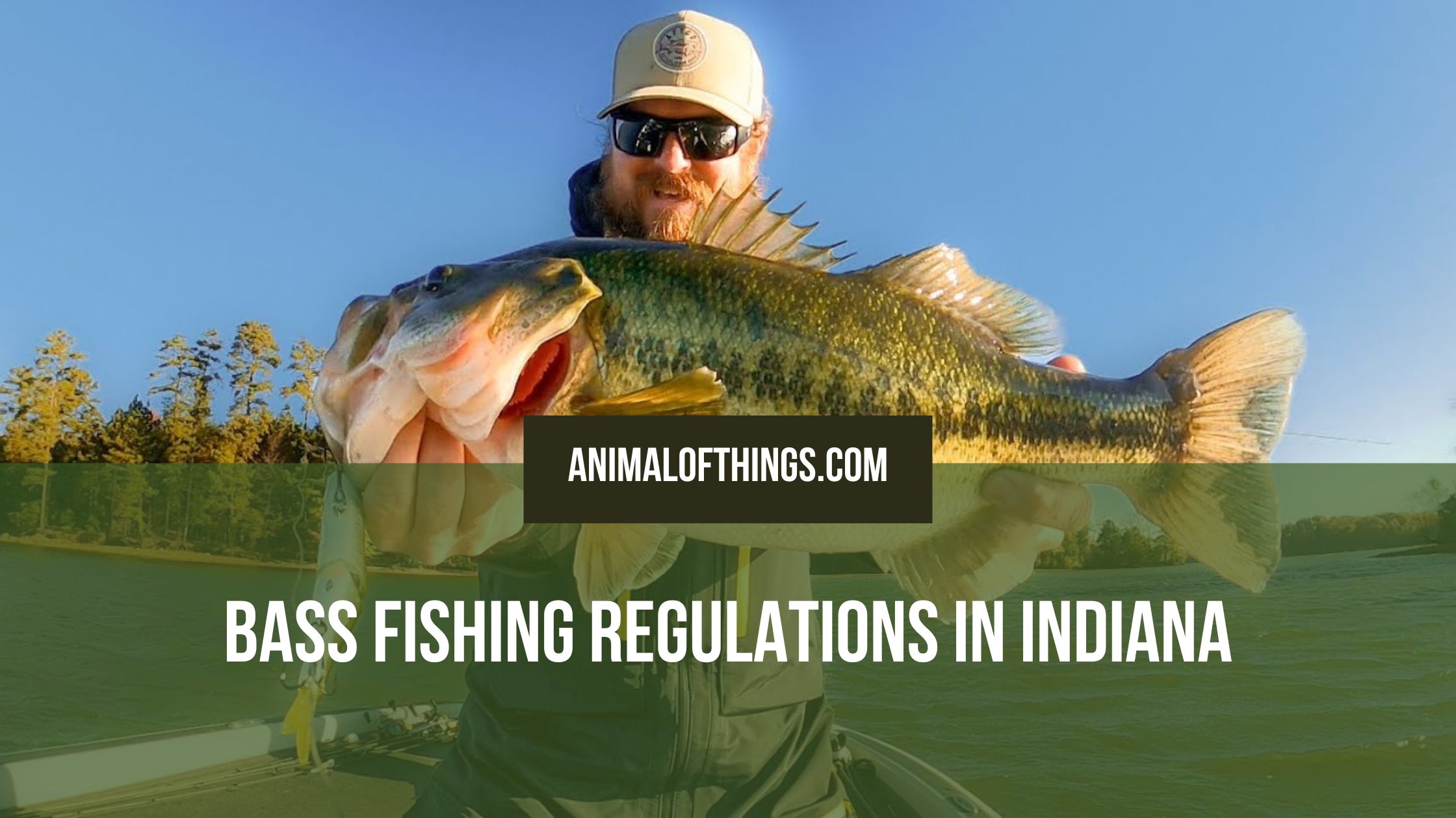Indiana Bass Fishing Regulations: What Every Angler Needs to Know