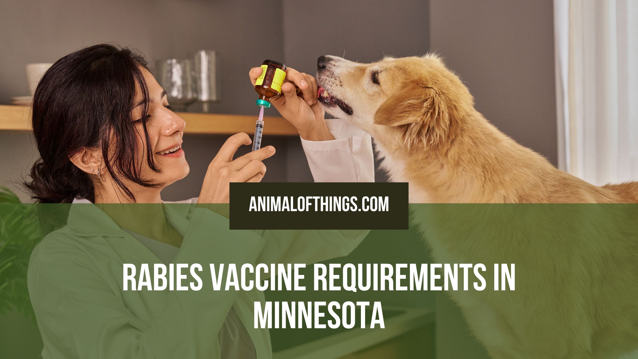 Rabies Vaccine Requirements in Minnesota: What Pet Owners Need to Know