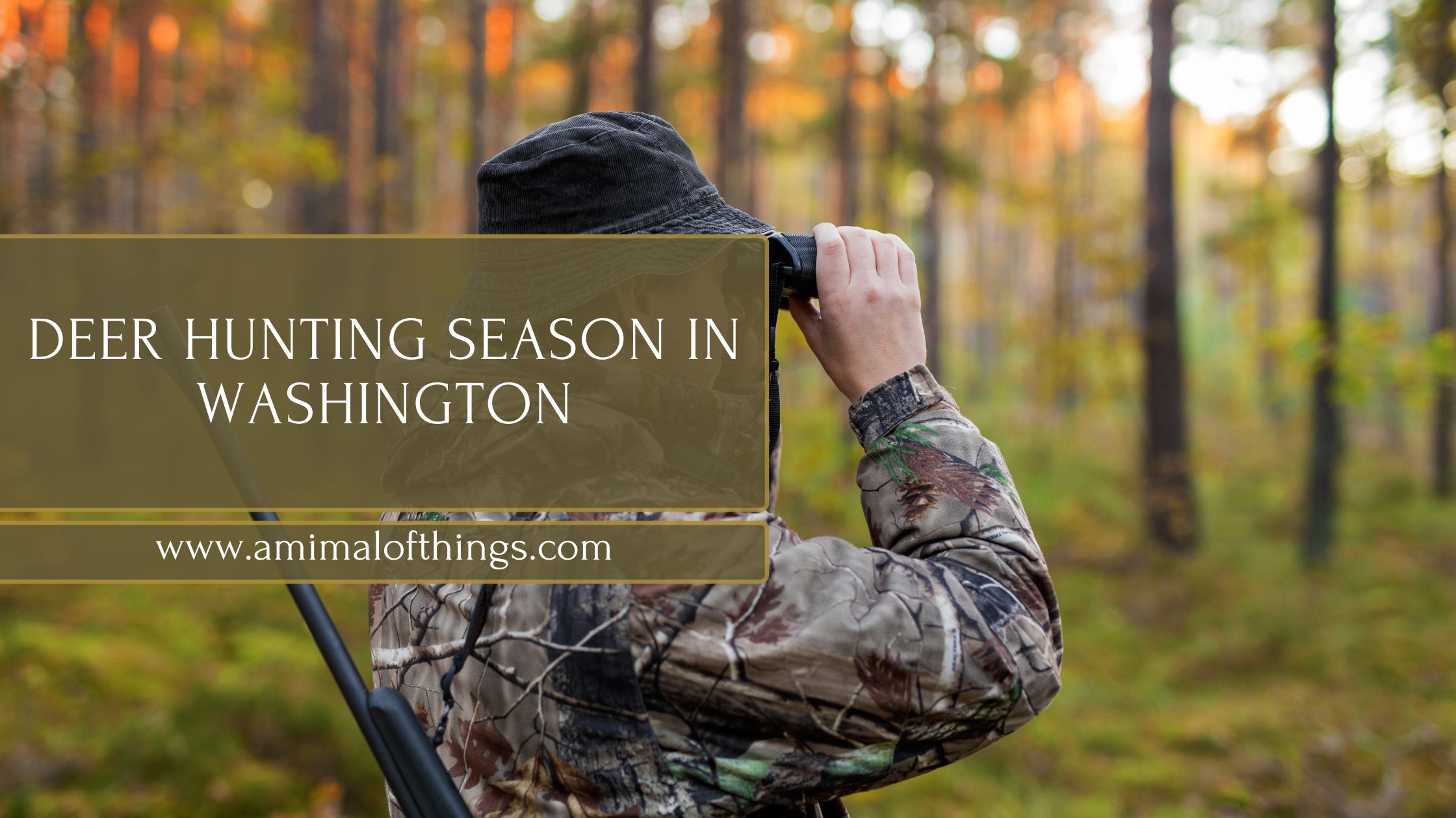 Washington Deer Hunting Season: Dates, Zones, and Rules You Need to Know
